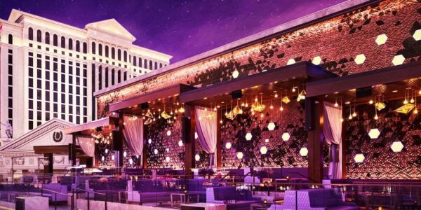 OMNIA Thursday