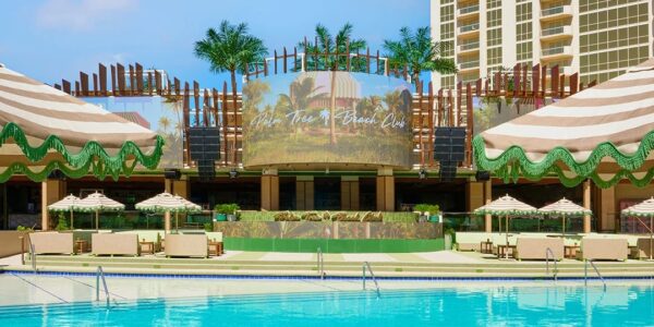 Palm Tree Beach Club Thursday